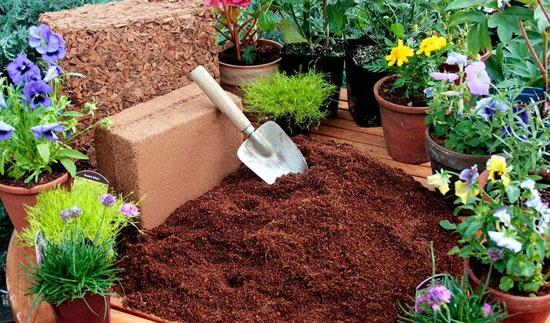 Premium Quality Cocopeat Potting Mixes Suppliers in Tamilnadu